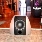 Distinctive, Award-Winning Mission 8" Corner Subwoofer FS1