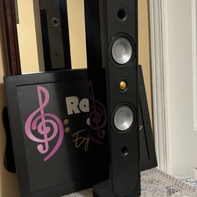 Monitor Audio Radius 250HD speakers in black gloss standing upright, grille off to show twin silver bass drivers and gold dome tweeter
