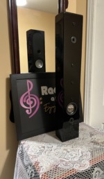 Rear of a Monitor Audio Radius 250HD standing upright, gloss black cabinet with two keyhole wall-mount slots and the recessed binding-post terminal cup
