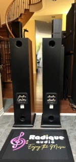 Rear of the Monitor Audio Silver S8 speakers, bi-wire gold binding posts with jumpers, two rear ports and the model plates