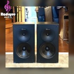 Large, High-End Nuance Advantage Bookshelf Speakers