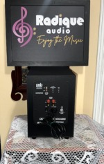Rear panel of the PSB Alpha SubZero i showing low-level RCA inputs, red and black high-level speaker terminals, phase switch and power socket