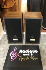 Rear panels of the PSB Avante speakers, black backs with spring-clip speaker terminals in round cups above the PSB Speakers Inc model labels