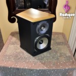 Single Paradigm 4-Driver, 2-Way Dipole Speaker ADP-170 v4