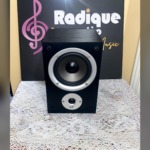 Single Great Sounding Budget Speaker from Polk Audio R150