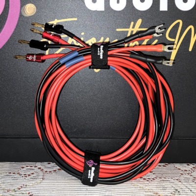 Radique House CCA speaker cable pair coiled upright in front of the Radique Audio board, red and black runs gathered by a Radique strap