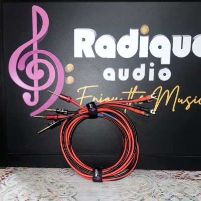 Pair of red and black Radique House CCA speaker cables, 10 ft, coiled upright with pin connectors and small spades
