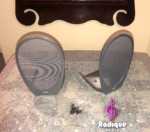 The two silver Tannoy Arena grilles, one shown from behind, with fixing screws
