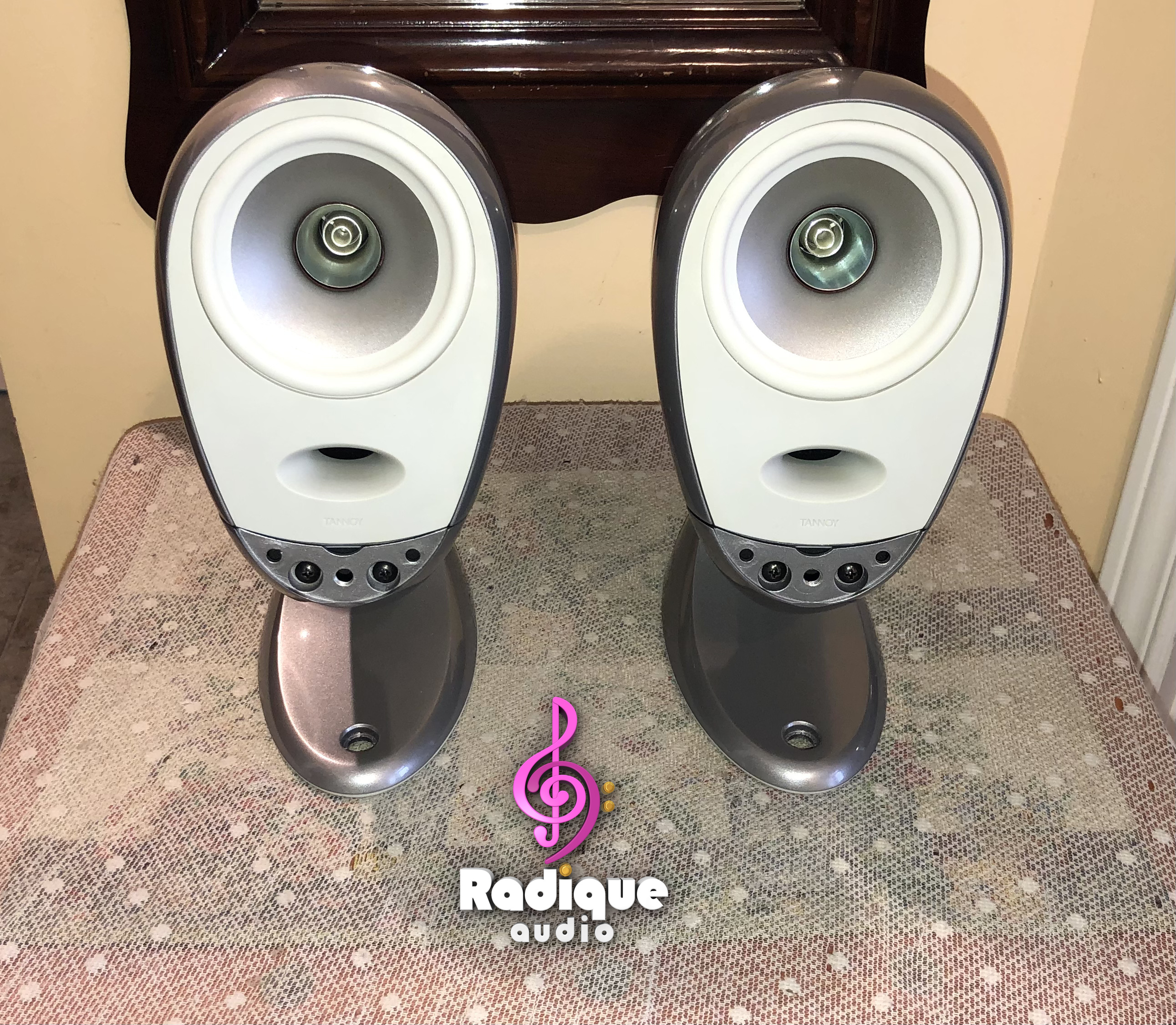 Tannoy-Arena-Satellite-Speakers-Silver-7 Silver Tannoy Arena satellites on their matching cast bases, grilles off, showing the Dual Concentric drivers