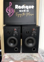 Pair of Vision Acoustics V 500 bookshelf speakers, grilles off, each with a dome tweeter, woofer, front bass port and Model V 500 badge