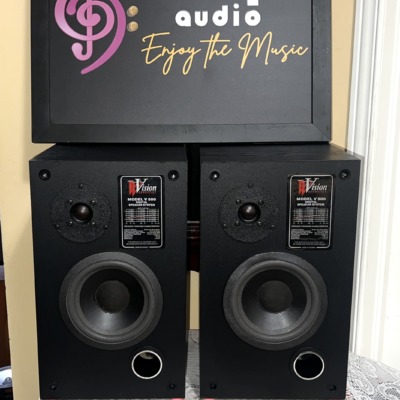 Pair of Vision Acoustics V 500 bookshelf speakers, grilles off, each with a dome tweeter, woofer, front bass port and Model V 500 badge