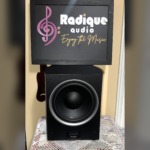 Paradigm PDR-10 v.4 powered subwoofer with grille off, showing the 10-inch black cone with its silver trim ring and the Paradigm badge below
