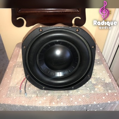 Paradigm Signature SUB 2 replacement subwoofer driver seen from above, cone and surround