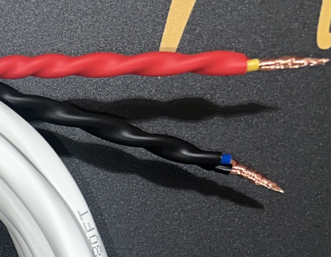 Bare wire speaker cable termination by Radique Audio — twisted conductors under red and black heat-shrink with a blue collar at the jacket breakout