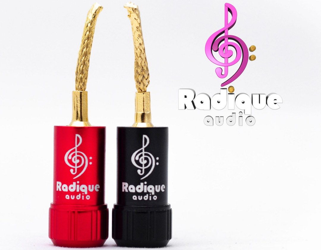 Radique Audio Pin Connectors