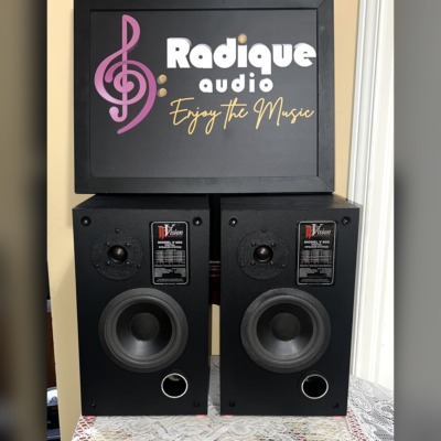Pair of Vision Acoustics V 500 bookshelf speakers, grilles off, each with a dome tweeter, woofer, front bass port and Model V 500 badge